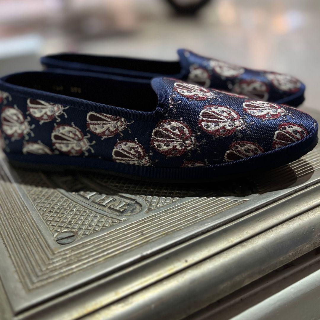 Slipper Bugs
