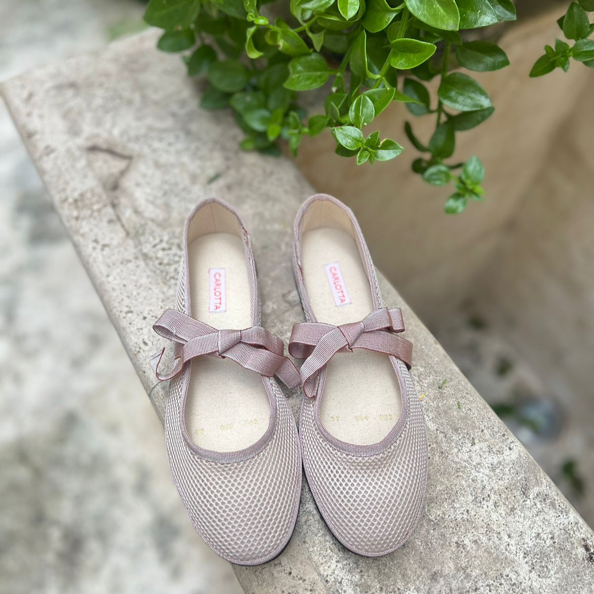Ballerinas